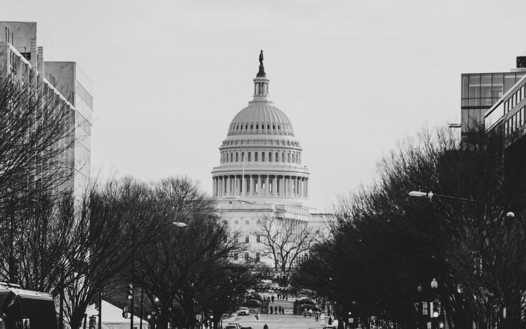 Making Your Voice Heard on The Hill